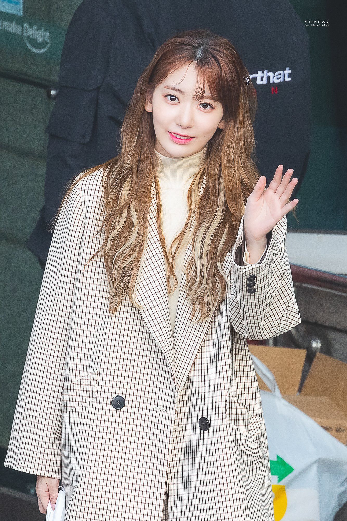 jpgif 미야와키 사쿠라 [데이터]