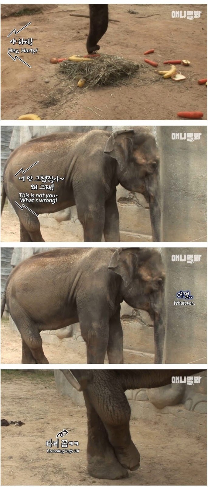 남친이랑 헤어지고 방청소 하다가 울음
