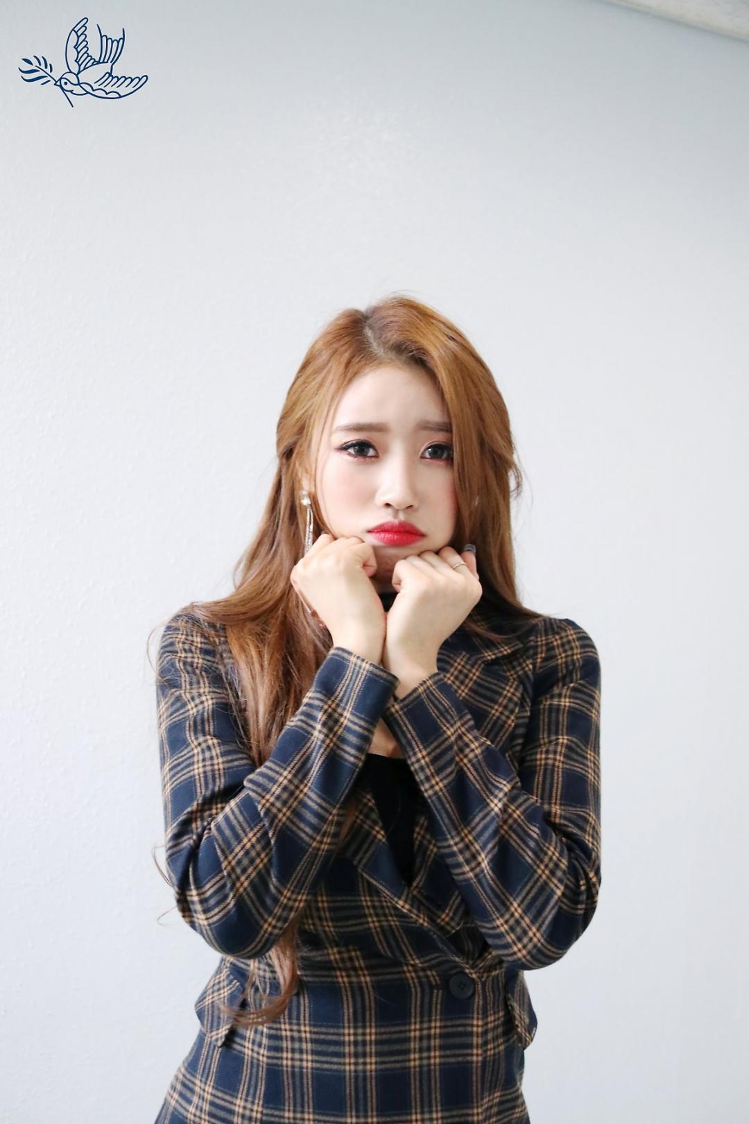 Lovelyz 소중했던 기억들로 Rewind 스압~