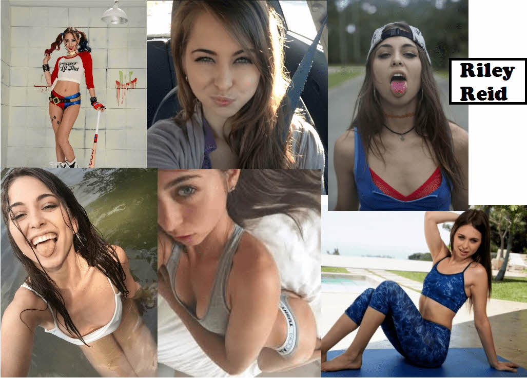 S급 서양 배우 확장판