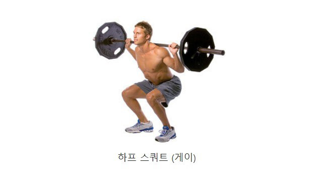 헬스장 게이 구별법