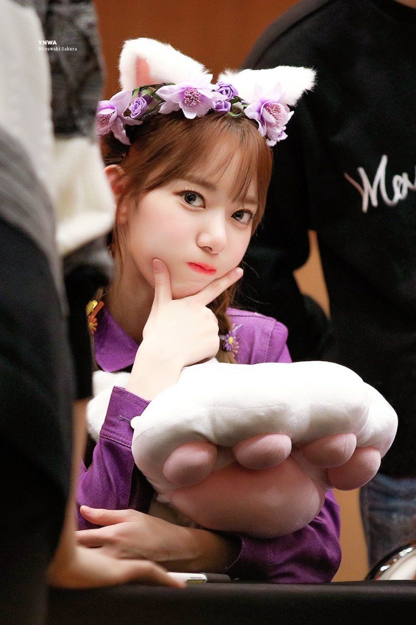 jpgif [데이터] 아이즈원 미야와키 사쿠라