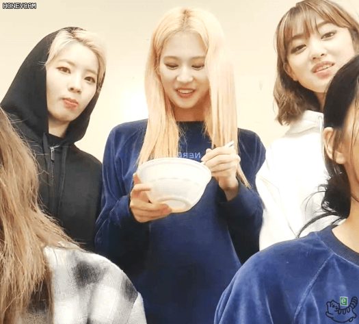 콘서트후 나연 모모 사나 다현 지효
