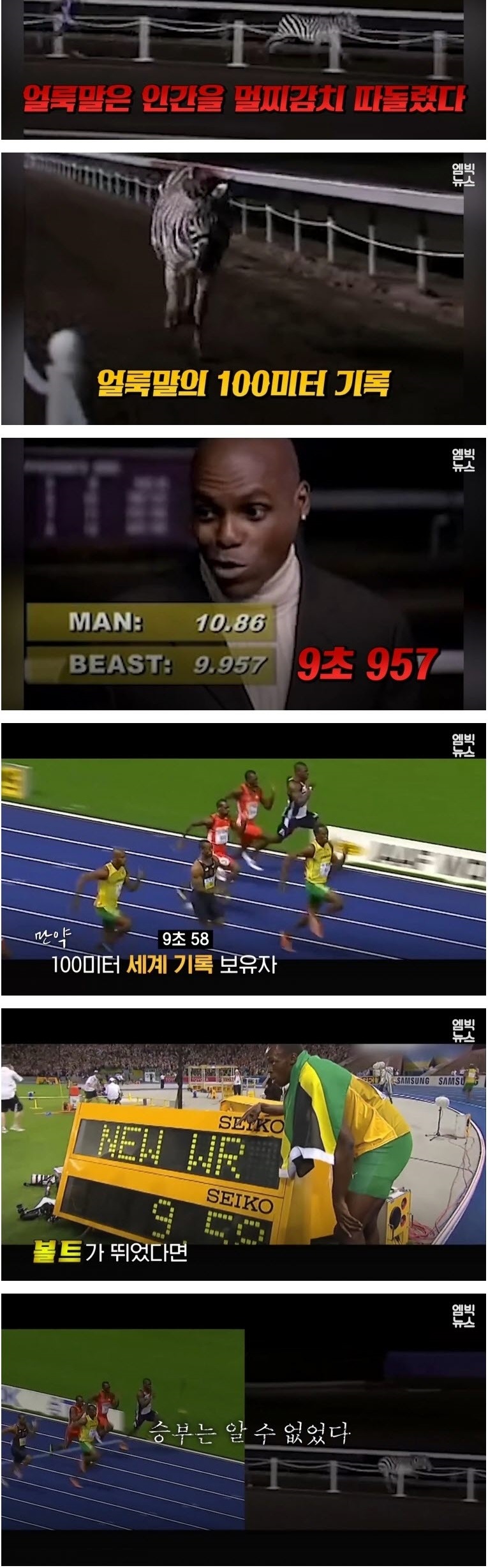 인간 VS 동물 기상천외한 승부