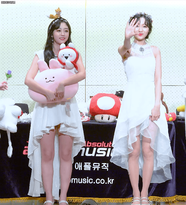 귀염 터지는 여우