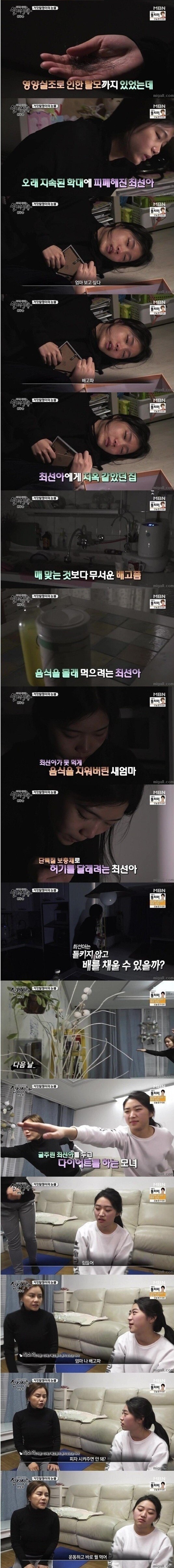 거짓말쟁이의 눈물