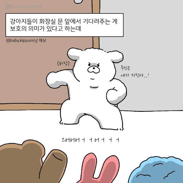 주인을 보호하기 위해 댕댕이가 하는 행동