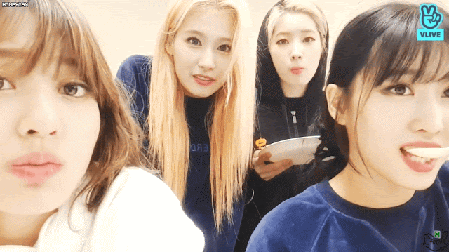 콘서트후 나연 모모 사나 다현 지효