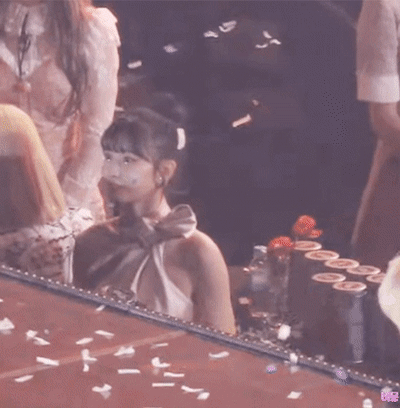 미어캣 트와이스