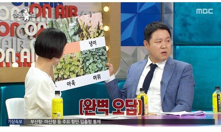 나물박사 곽철용