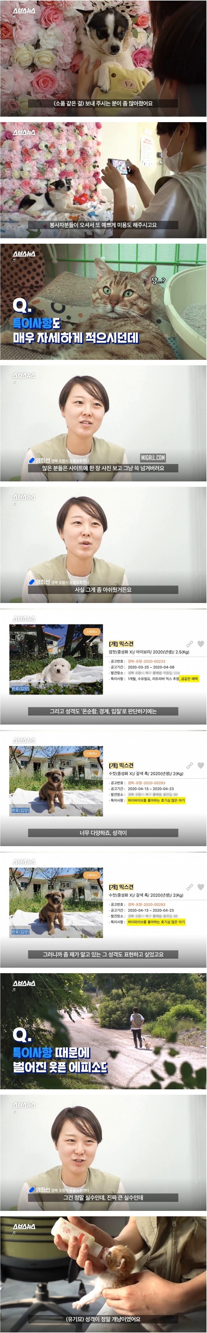 인생샷 찍어주는 보호소