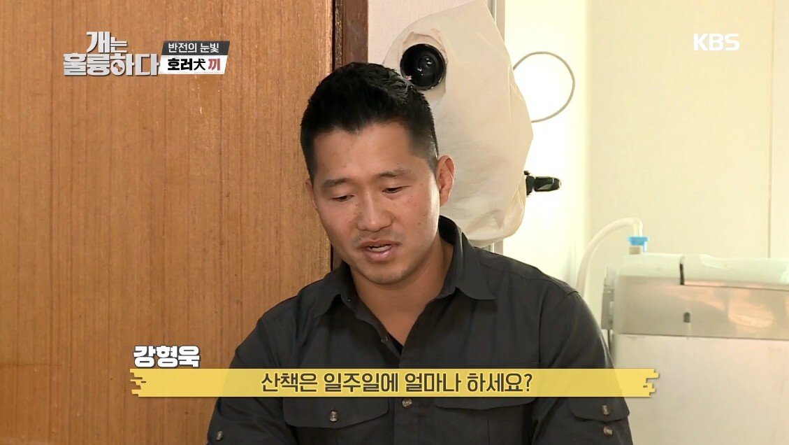 혼자 살면서 개 키우는 주인에게 빡친 강형욱