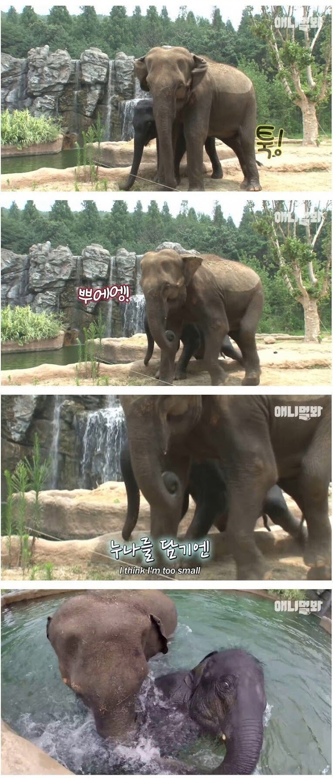 남친이랑 헤어지고 방청소 하다가 울음