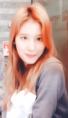 오늘자 브이앱 트와이스 미나 사나 모모 [108mb]