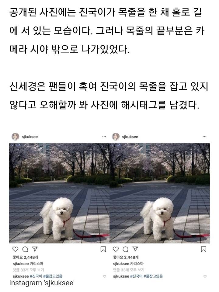 신세경 유튜브에 불편러가 없는 이유