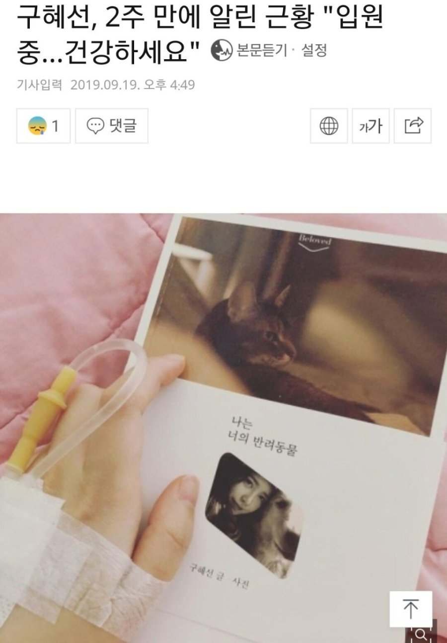 구혜선 행보 예측