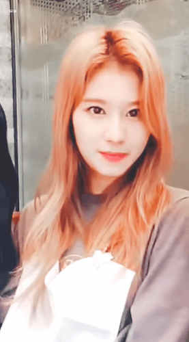 오늘자 브이앱 트와이스 미나 사나 모모 [108mb]