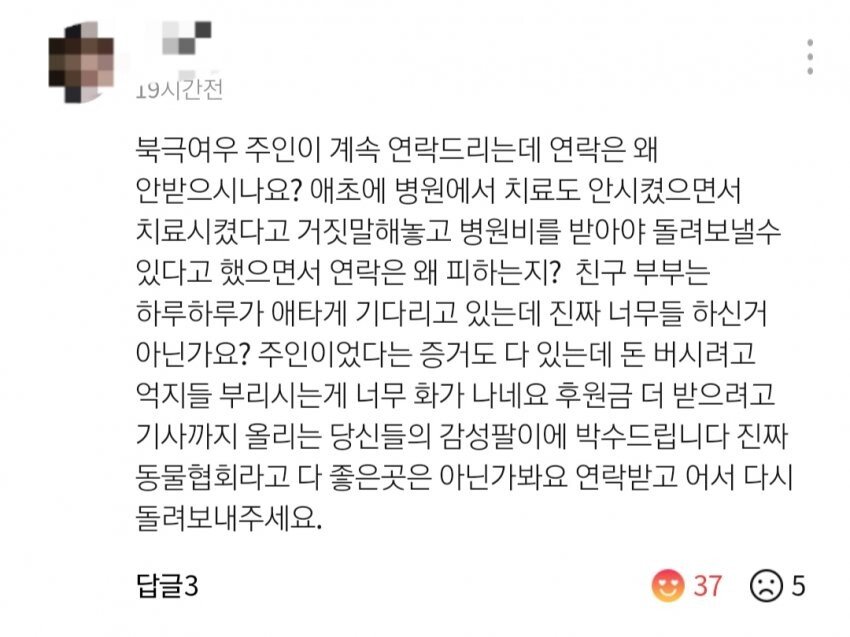 서울 한복판에 나타난 북극여우