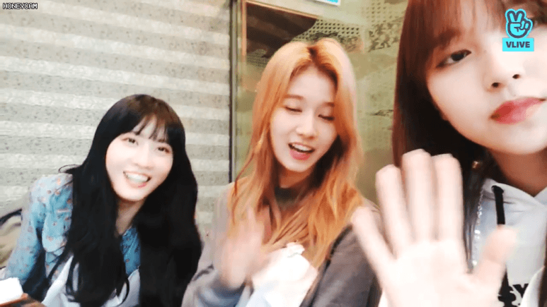 오늘자 브이앱 트와이스 미나 사나 모모 [108mb]