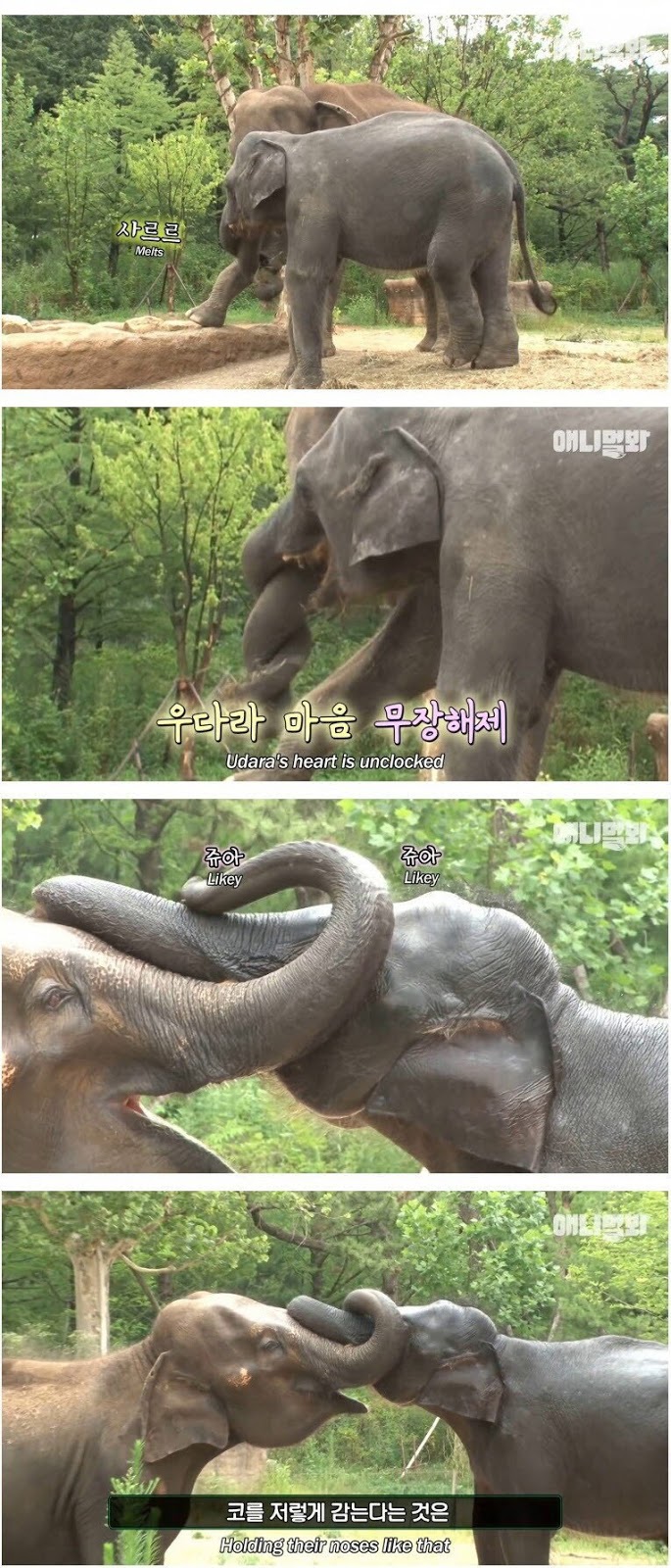 남친이랑 헤어지고 방청소 하다가 울음