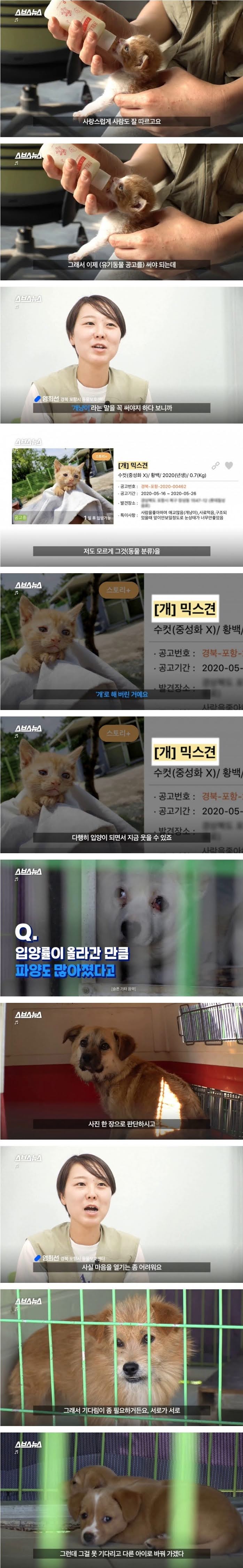 인생샷 찍어주는 보호소