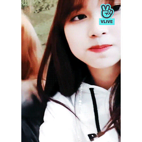 어제자 브이앱 미나 모모 사나 [135mb]