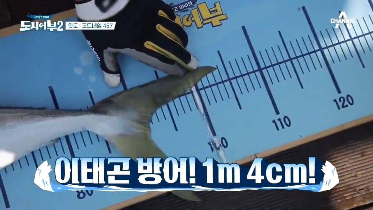 방어잡은 도시어부 프로그램 근황