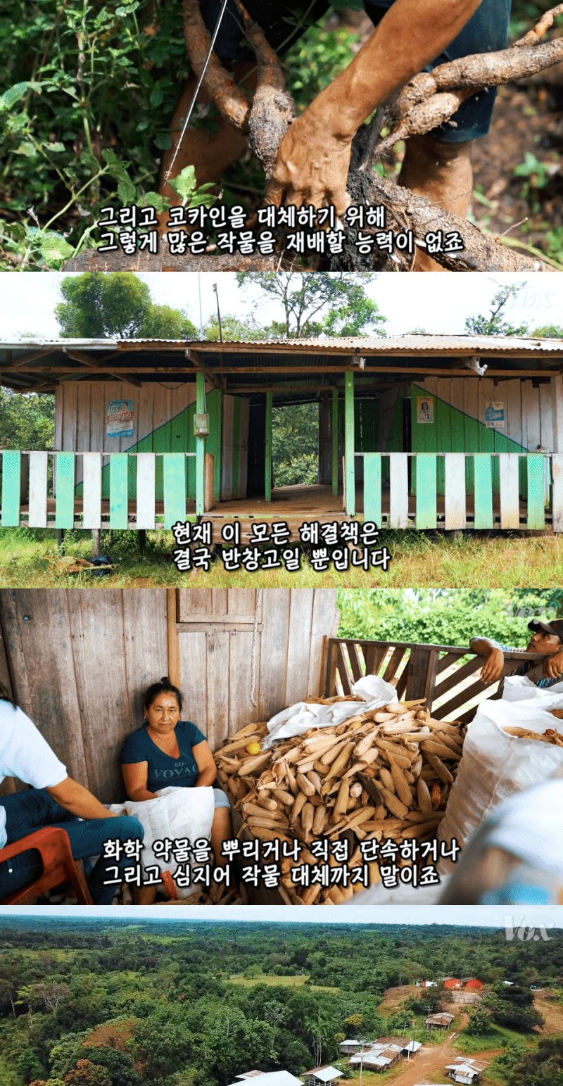 콜롬비아가 코카인 전쟁에서 지고 있는 이유