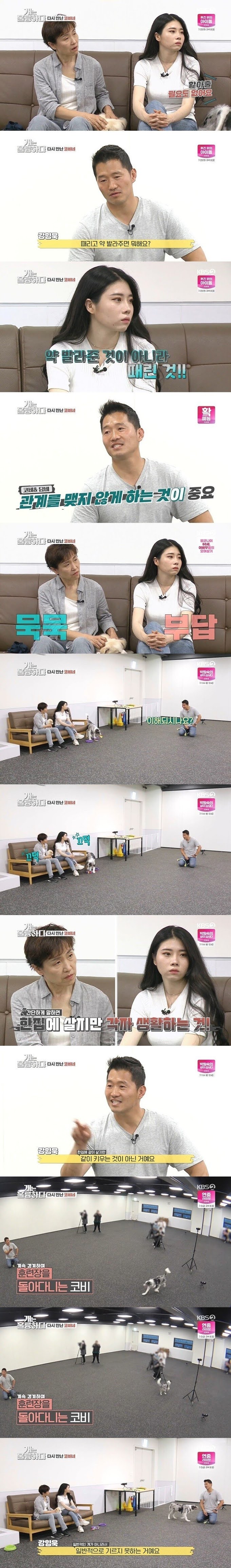 강형욱도 포기한 역대급 개 주인