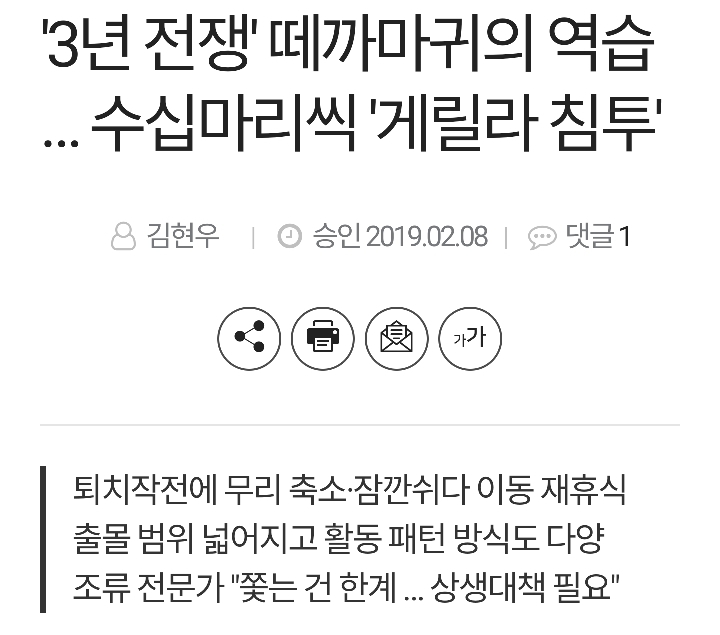 수원 길가에 주차하면