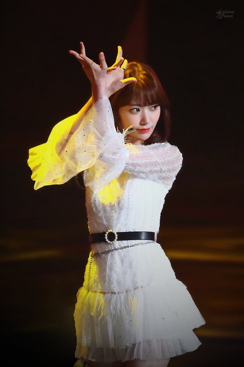 장원영 안유진 단체사진 사쿠라 김민주 권은비 (사진 14장)