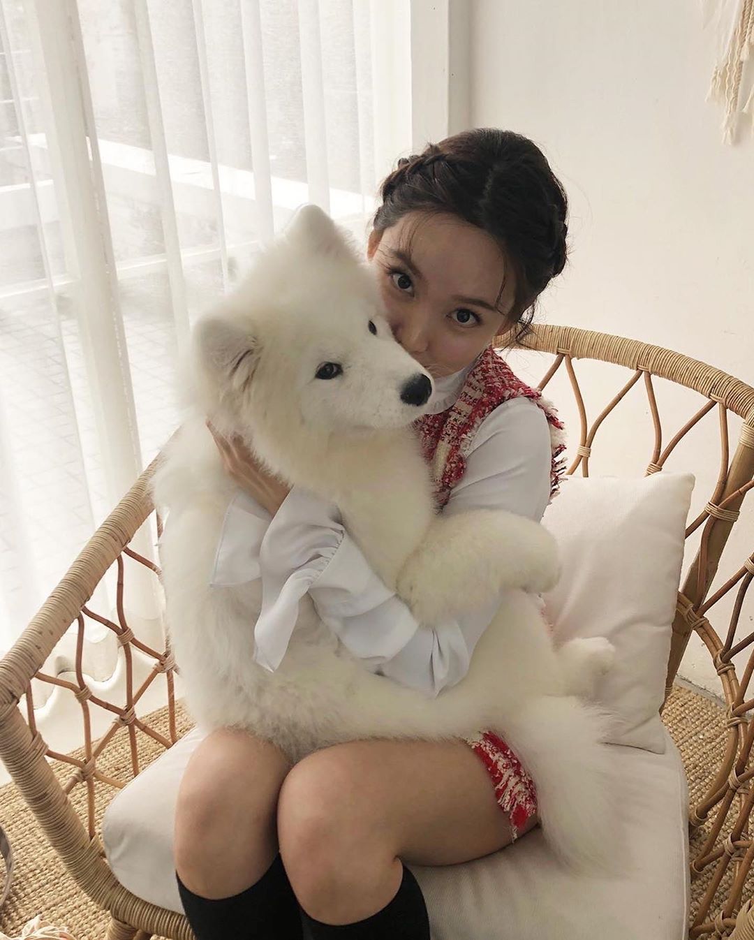 jpgif 임나연 [데이터]