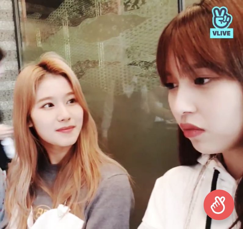 오늘자 브이앱 트와이스 미나 사나 모모 [108mb]