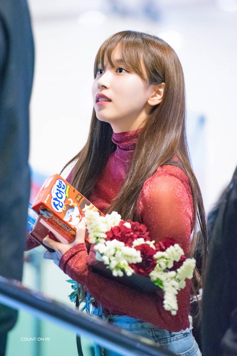 트와이스 미나 / 사나 / 쯔위