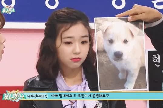 버스터즈 채연