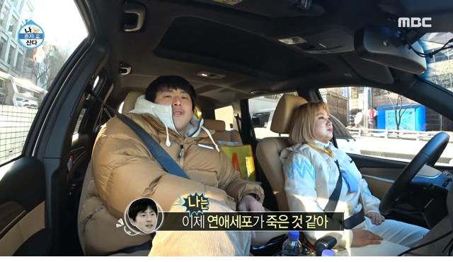 연애세포가 죽어간다는 분들