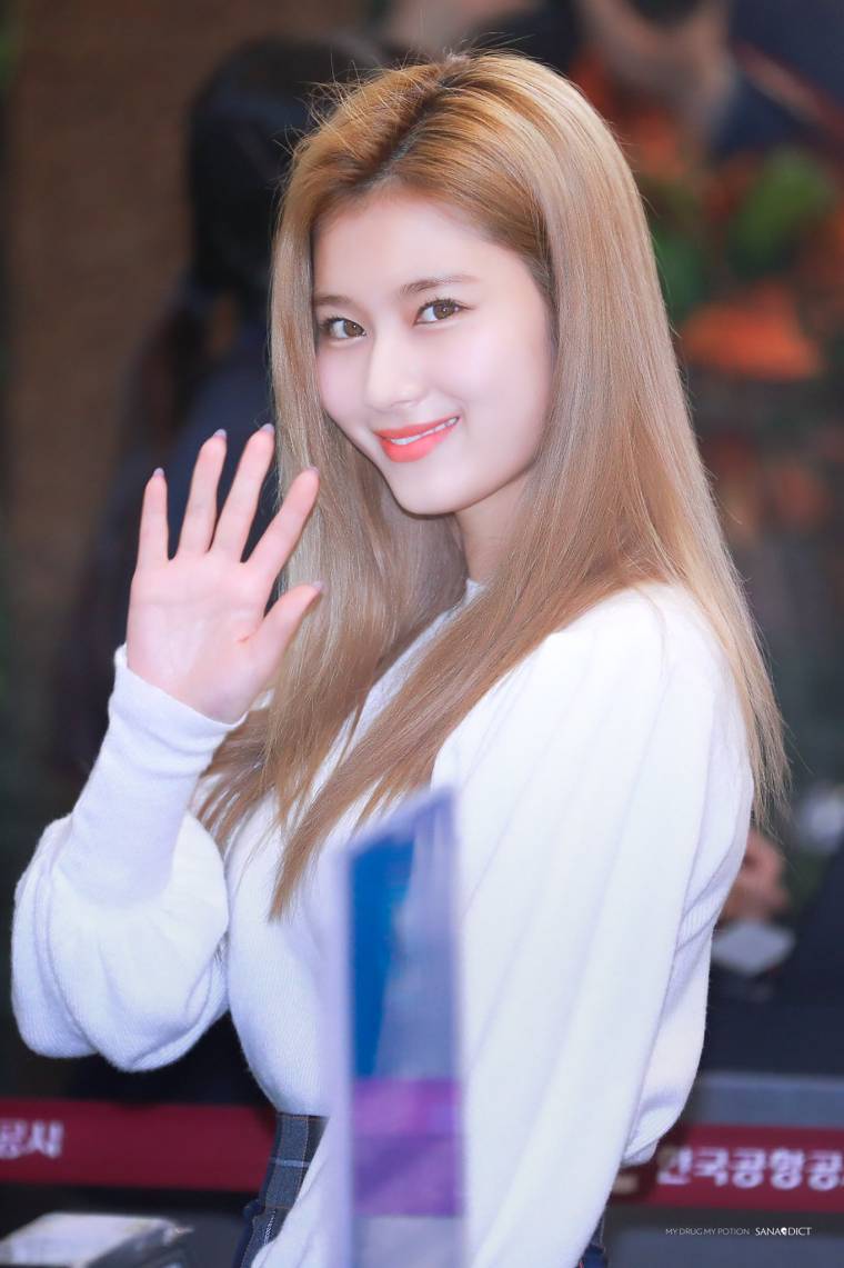 트와이스 미나 / 사나 / 쯔위