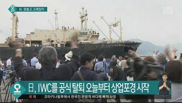 일본 IWC 탈퇴