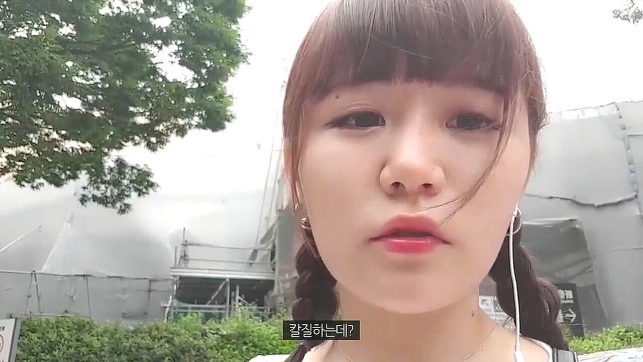 명불허전 손가락 애국자들