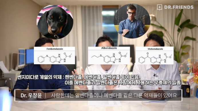 강아지 구충제 항암 효과에 대한 의견