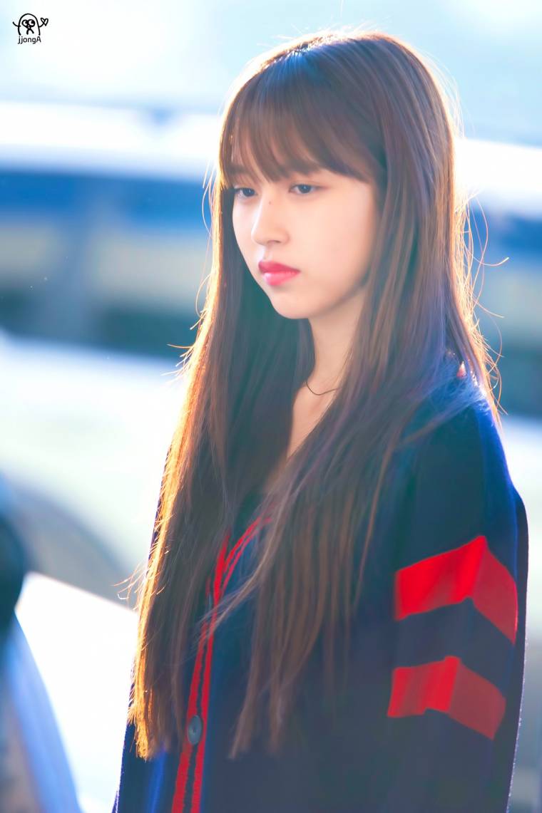 트와이스 미나 / 사나 / 쯔위