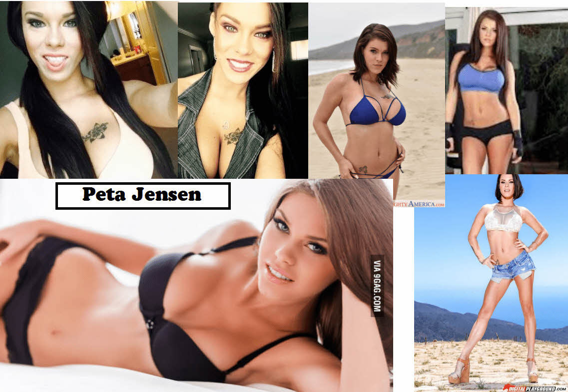 S급 서양 배우 확장판