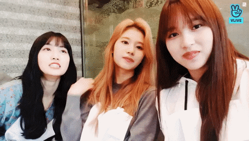 오늘자 브이앱 트와이스 미나 사나 모모 [108mb]
