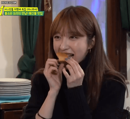 쫄보 하니