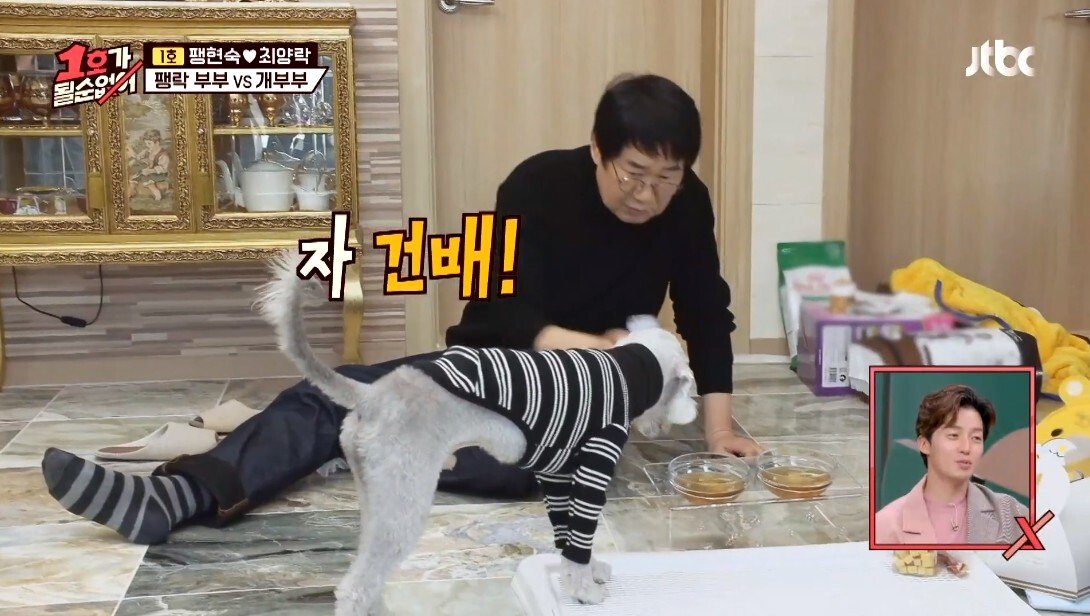 개라면 질색하던 최양락