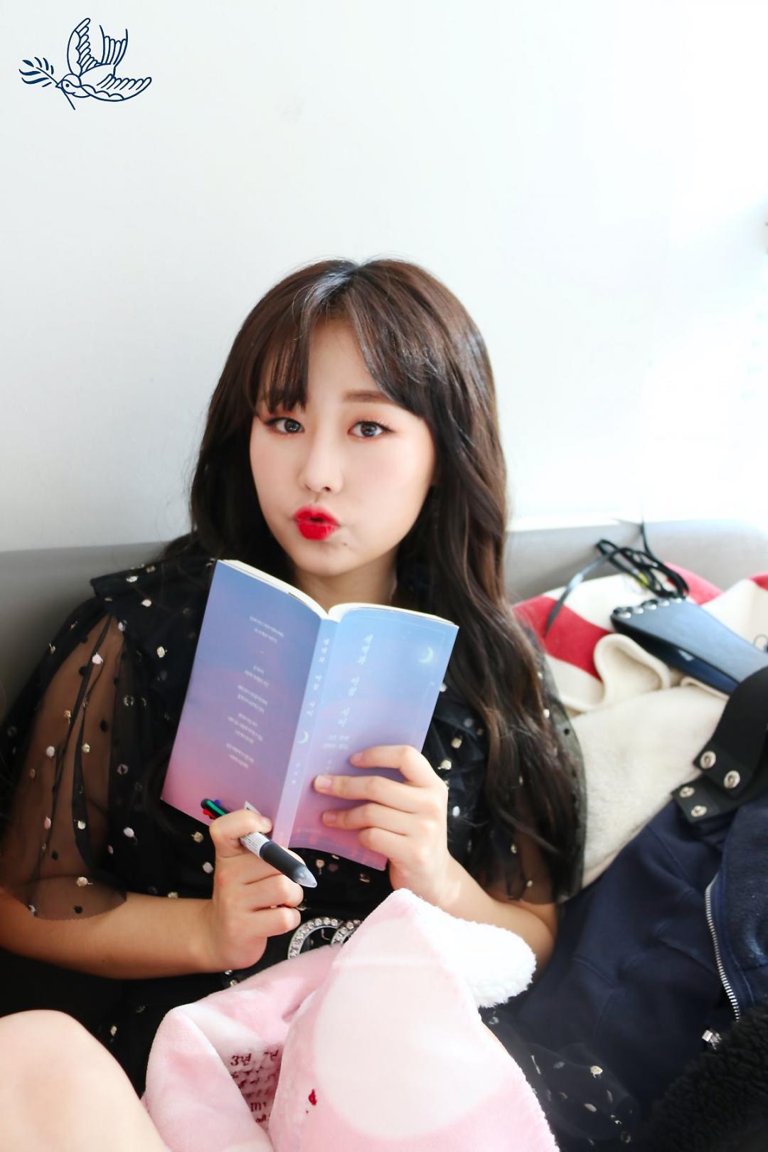 Lovelyz 소중했던 기억들로 Rewind 스압~