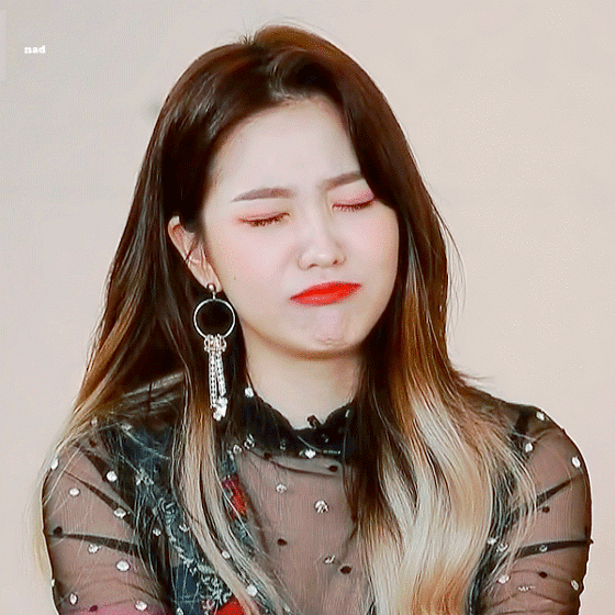 레드벨벳 예리