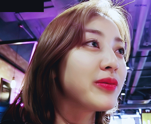 정열대륙 트와이스 사나 지효 모모 나연 [데이터]