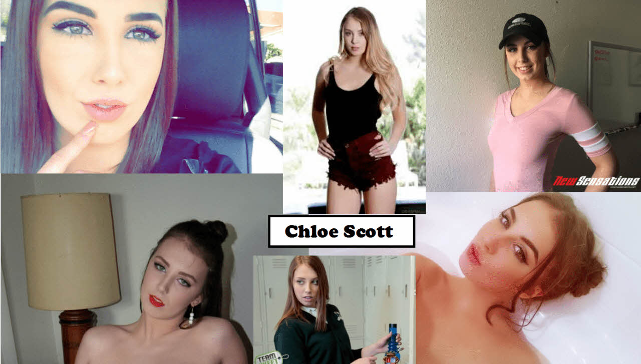 S급 서양 배우 확장판