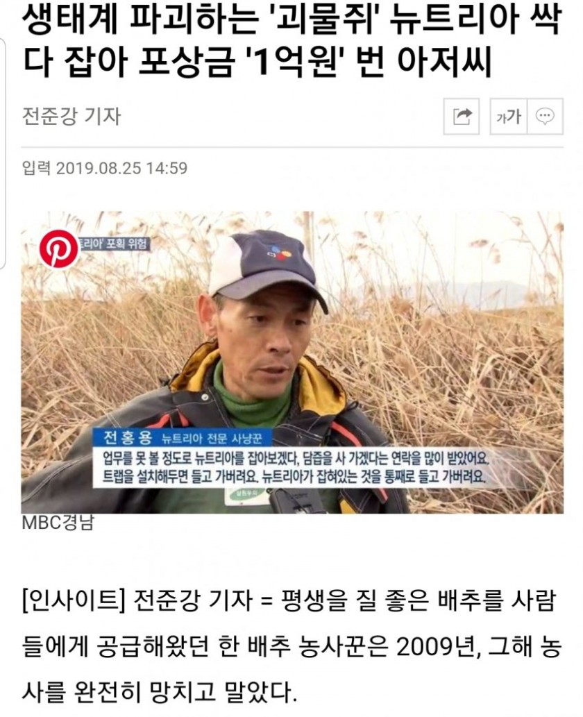 돼지열병 포상금에 안심할 수 있는 이유